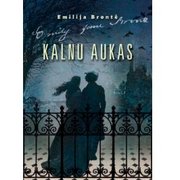 Kalnu aukas. Romāns