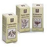 NEPETA CATARIA EST ANAL 50M EC