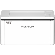 PANTUM BP2300NW