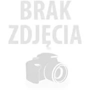 Róża pnąca FLAMMENTANZ